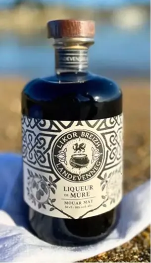 Bouteille de liqueur de mûre bretonne sur une plage ensoleillée, en noir et blanc à Toulouse en Haute-Garonne 31